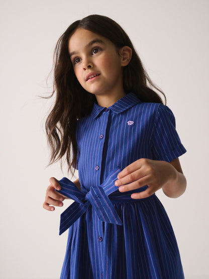 Superdry Blue Stripe Dress image 3