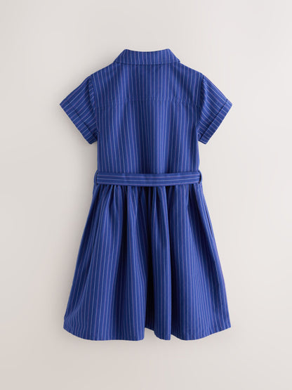 Superdry Blue Stripe Dress image 7