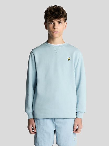 Dsiney Kidz - Lyle & Scott Blue Crew Neck Sweatshirt image 1