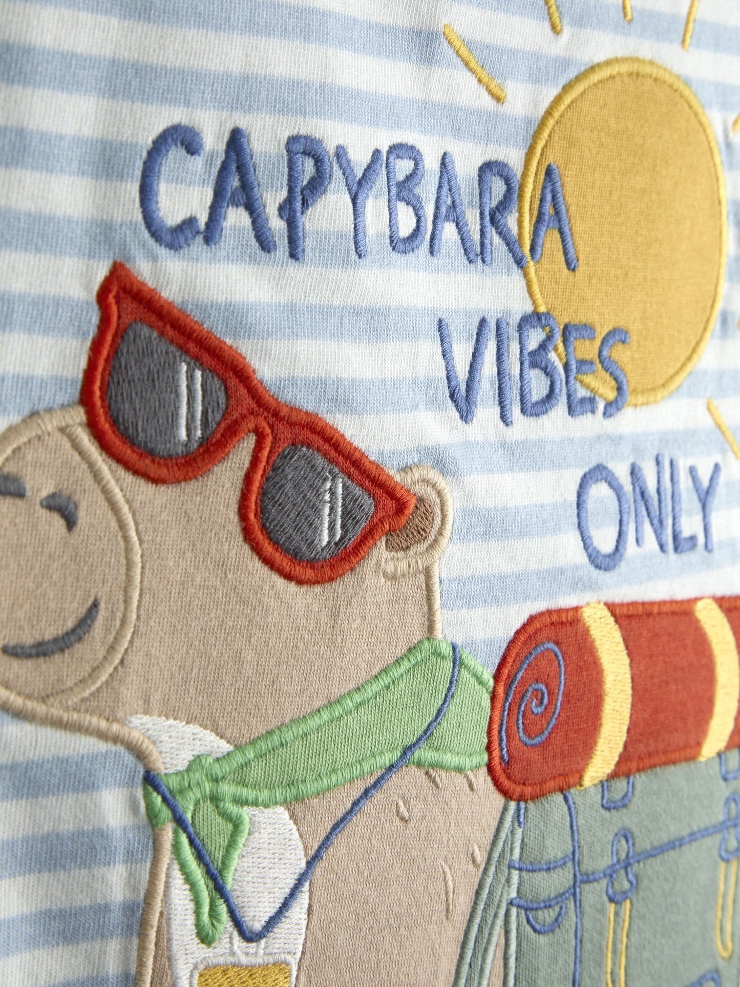 JoJo Maman Bébé Blue Capybara Character Appliqué T-Shirt image 3