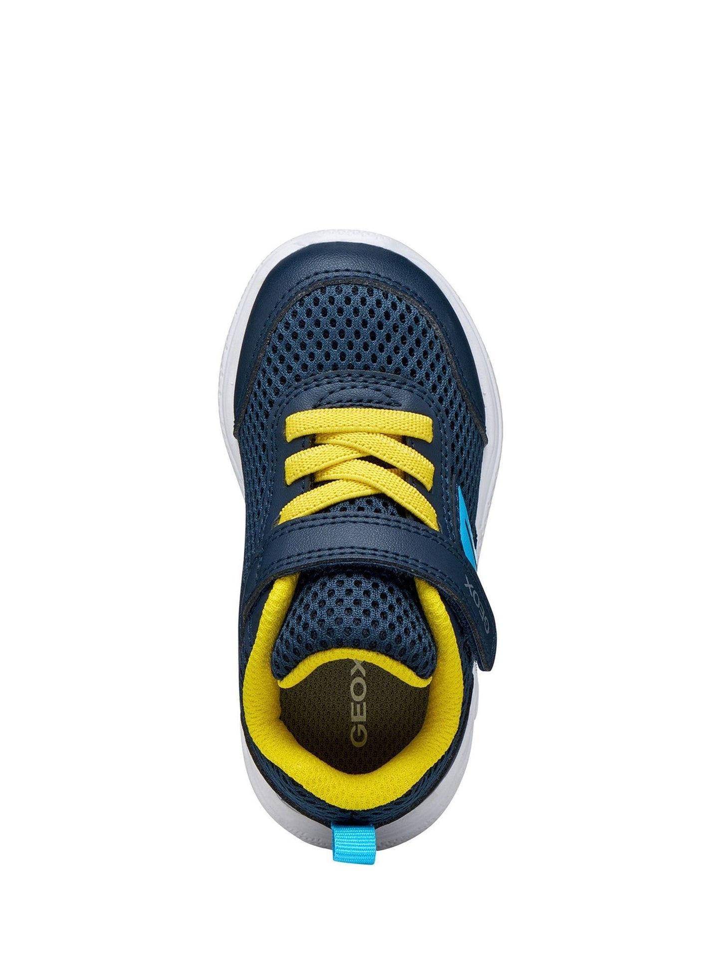 Geox Blue B Sprintye C image 4