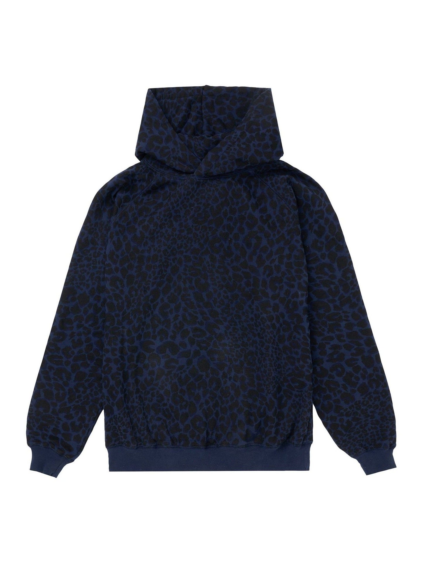 Dsiney Kidz - SCAMP & DUDE Blue Kids Hoodie with Leopard And Lightning Bolt image 1