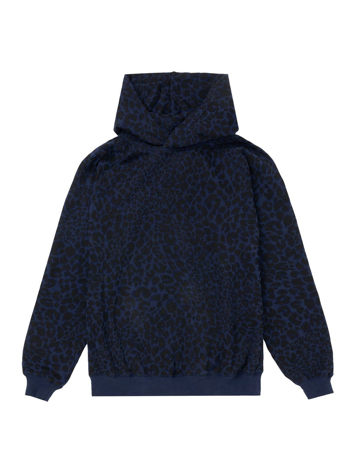 Dsiney Kidz - SCAMP & DUDE Blue Kids Hoodie with Leopard And Lightning Bolt image 1