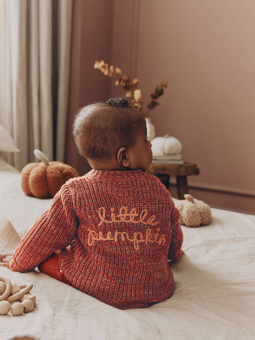 Dsiney Kidz - Orange Little Pumpkin Slogan Baby Cardigan image 1
