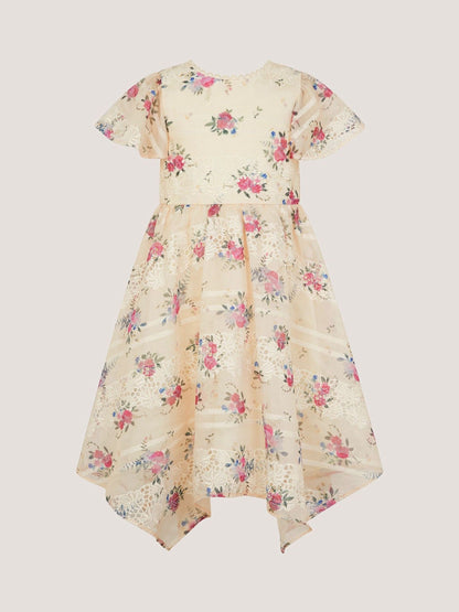 Monsoon Cream Tayla Floral Print Broderie Dress image 3