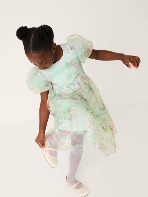 Monsoon Blue Joanna Butterfly Print Party Dress image 1