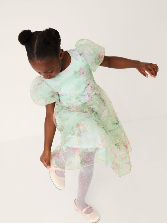 Monsoon Blue Joanna Butterfly Print Party Dress image 1