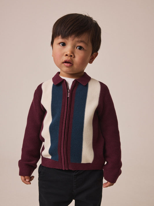 Dsiney Kidz - Purple/Navy Stripe Knitted Zip Through Polo Shirt (3mths-7yrs) image 1