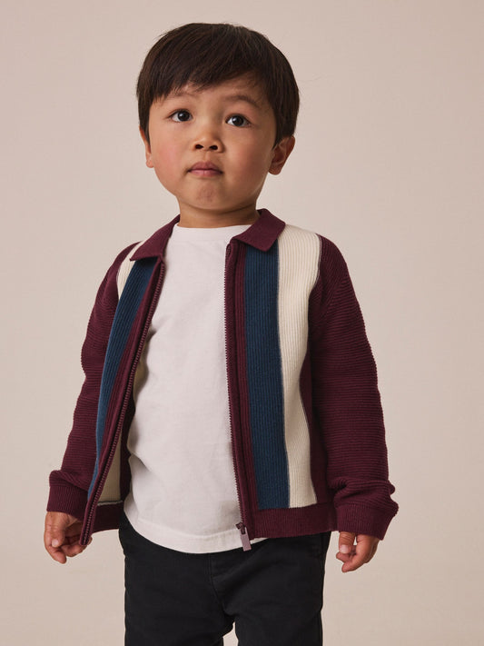 Dsiney Kidz - Purple/Navy Stripe Knitted Zip Through Polo Shirt (3mths-7yrs) image 2