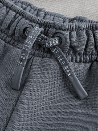 Dsiney Kidz - Baker by Ted Baker Grey Oversized Washed Graphic Hoodie and Wide Leg Joggers Set image 11
