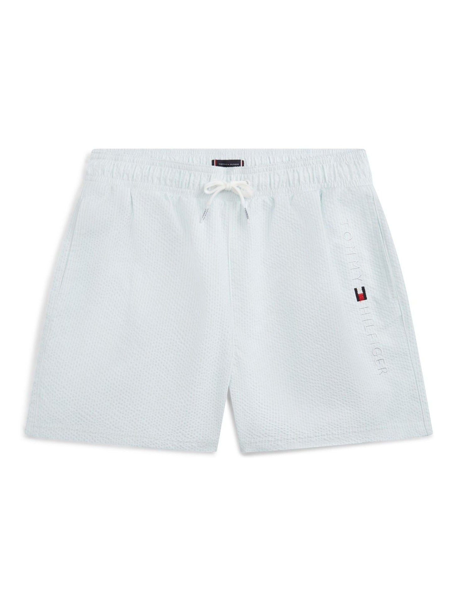 Tommy Hilfiger Blue Medium Drawstring Ithaca Swim Shorts image 1
