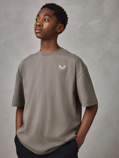 Dsiney Kidz - Castore Blue/White/Brown Oversized Short Sleeve Logo Cotton T-Shirts 3 Pack image 5