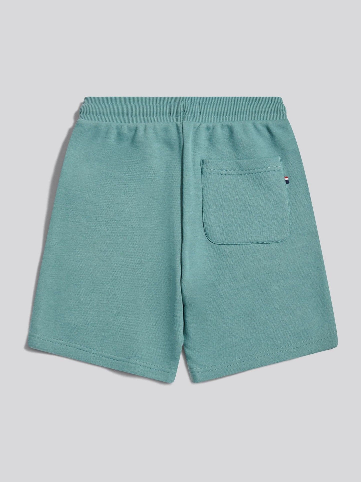 Dsiney Kidz - U.S. Polo Assn. Teal Player 3 Sweat Shorts image 8