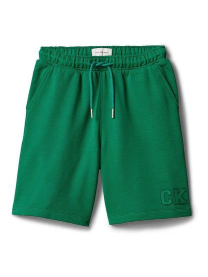 Calvin Klein Green Denim Cargo Shorts image 5
