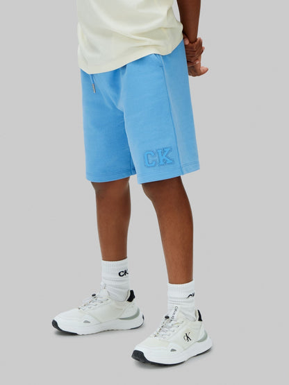 Calvin Klein Blue Denim Cargo Shorts image 3
