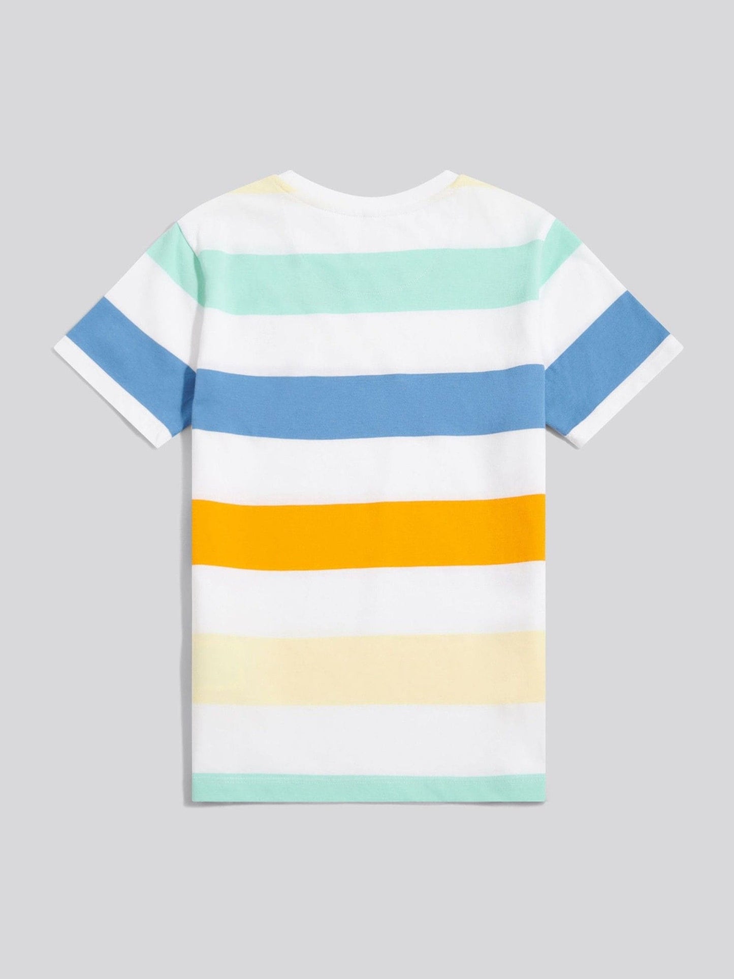 Dsiney Kidz - U.S. Polo Assn White Block Stripe T-Shirt image 7
