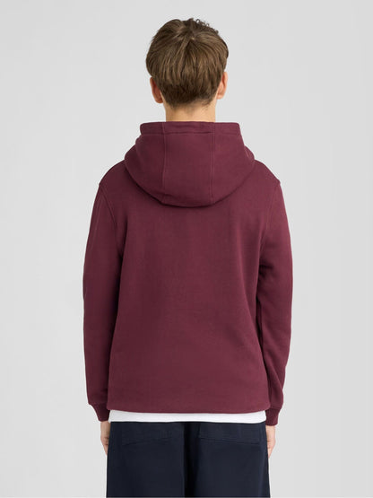 Dsiney Kidz - Lyle & Scott Red Brush Back Pullover Hoodie image 2