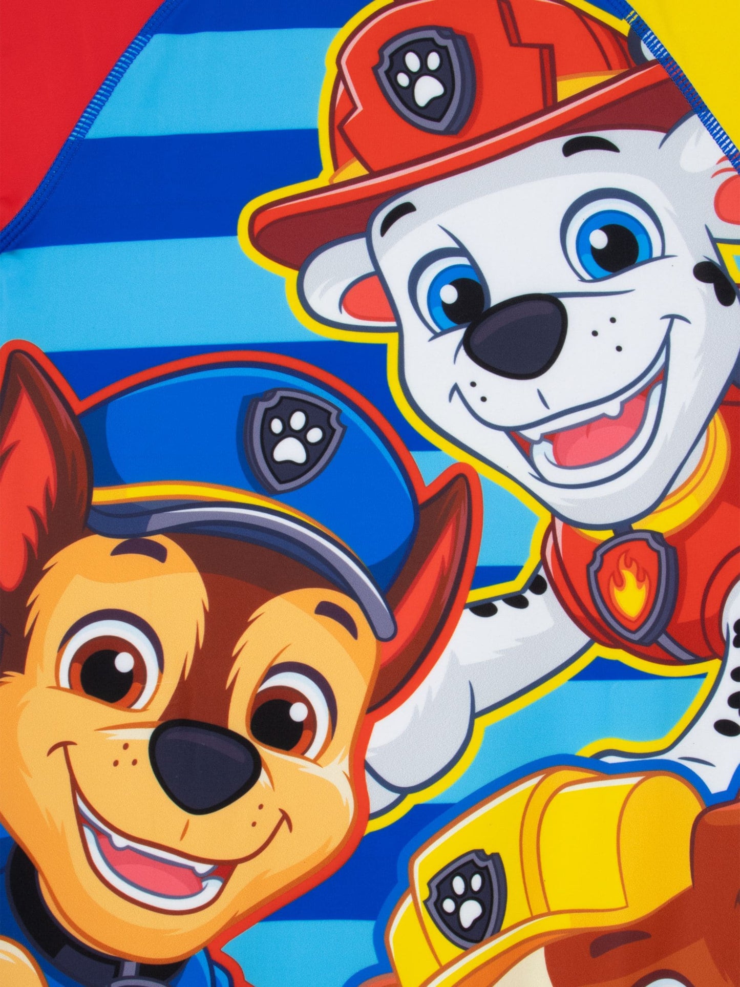 Character Blue PAW Patrol Chase, Rubble And Marshall Swimsuit image 3