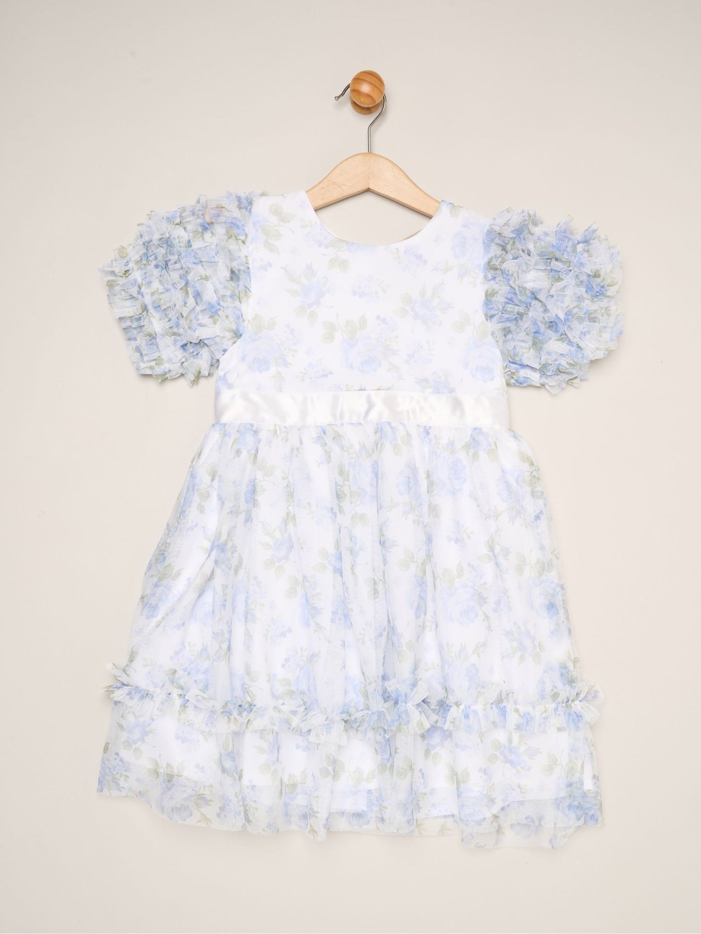 Dsiney Kidz - Miss Blue Floral Mesh Dress with Ruffle Sleeves image 1