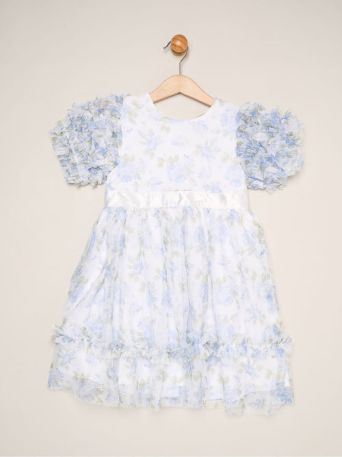 Dsiney Kidz - Miss Blue Floral Mesh Dress with Ruffle Sleeves image 1