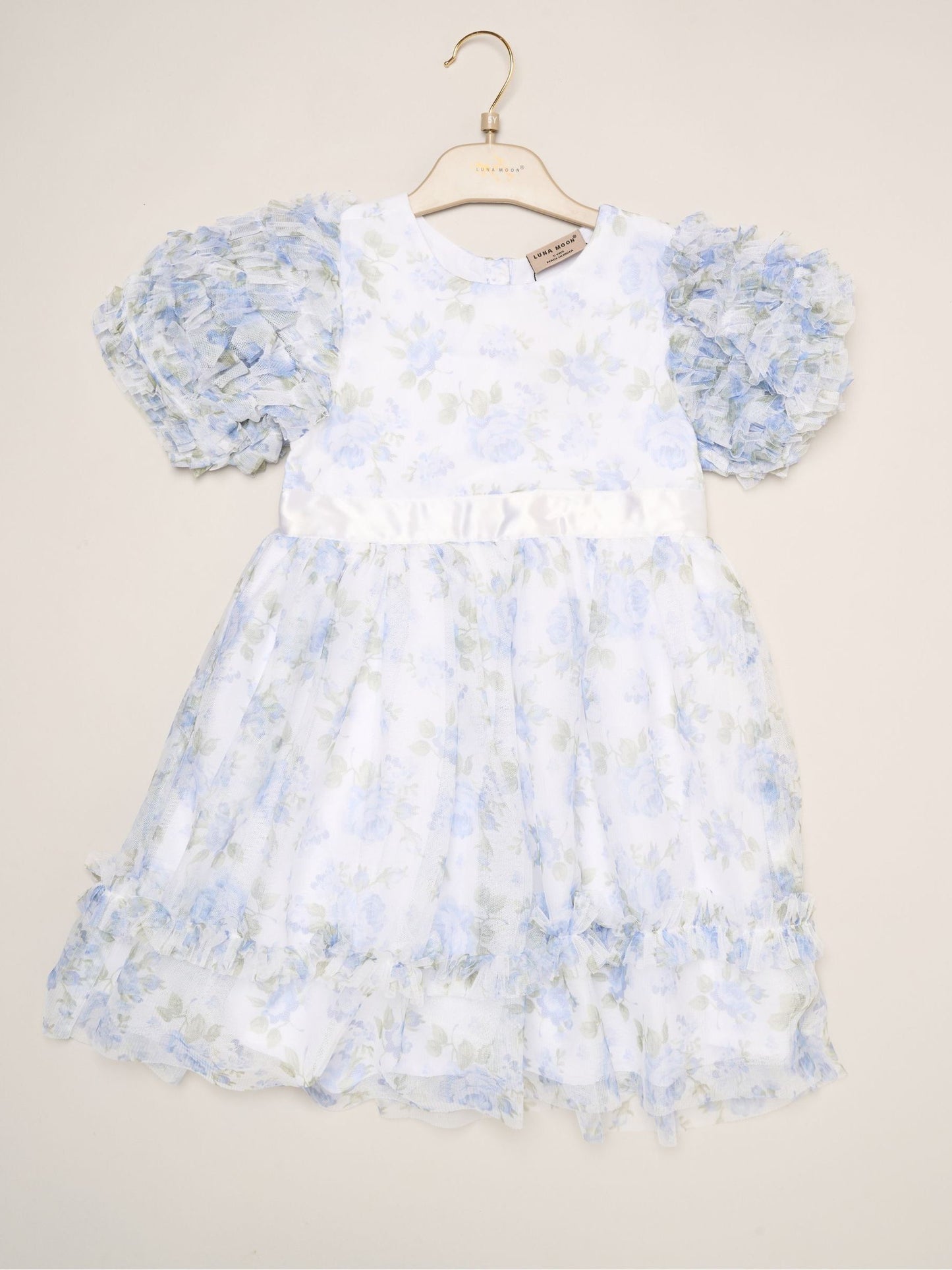 Dsiney Kidz - Miss Blue Floral Mesh Dress with Ruffle Sleeves image 2