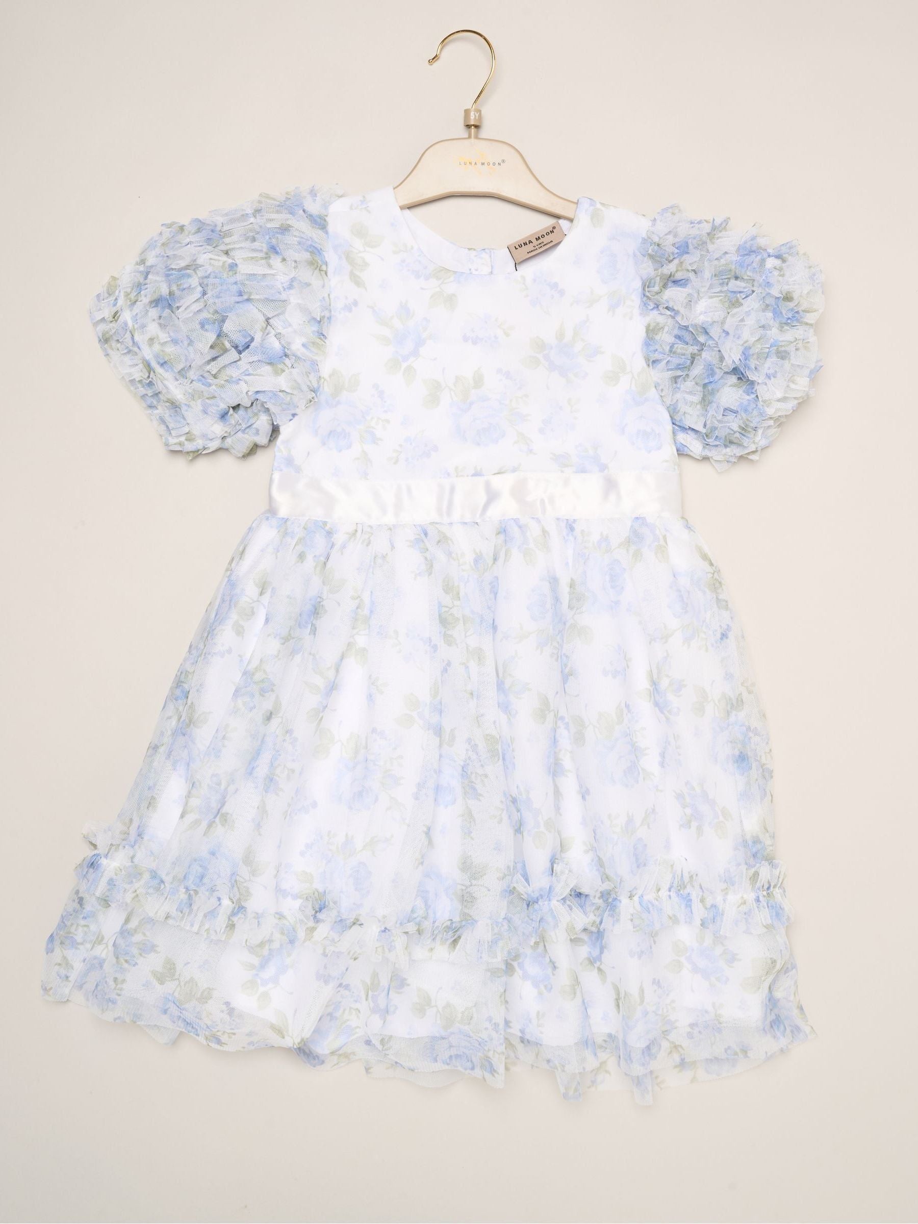 Dsiney Kidz - Miss Blue Floral Mesh Dress with Ruffle Sleeves image 2