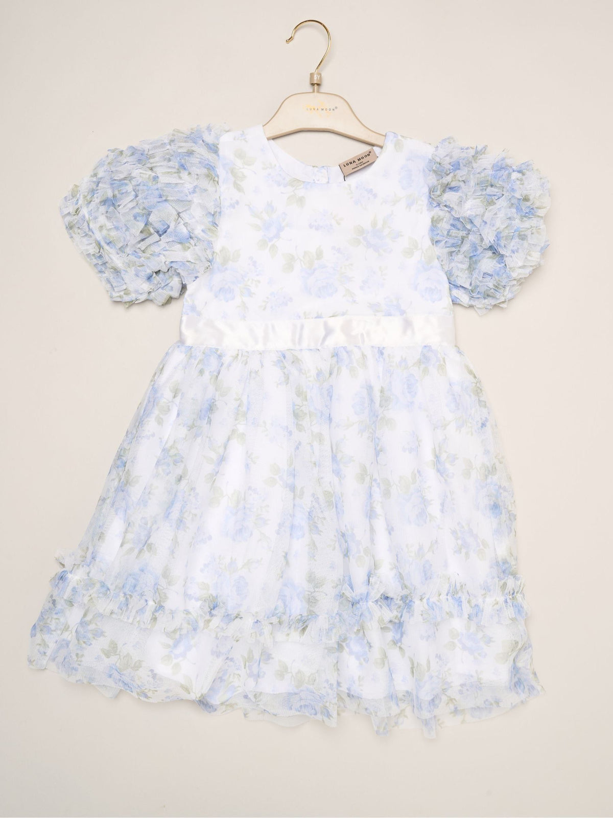 Dsiney Kidz - Miss Blue Floral Mesh Dress with Ruffle Sleeves image 2