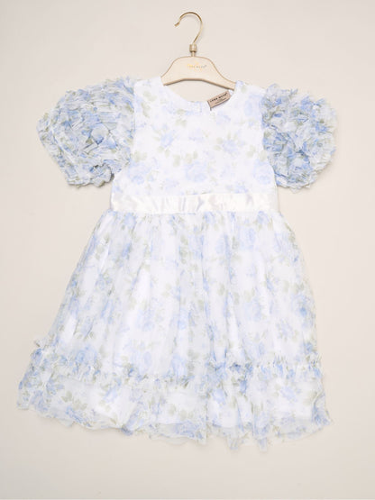 Dsiney Kidz - Miss Blue Floral Mesh Dress with Ruffle Sleeves image 2