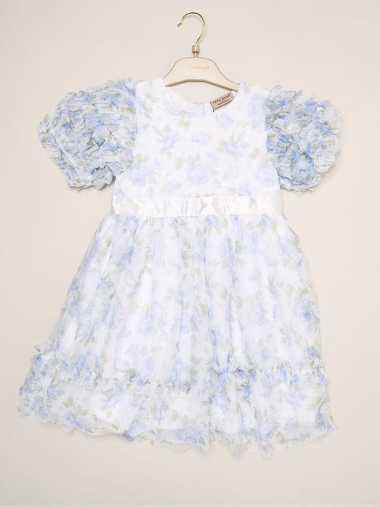 Dsiney Kidz - Miss Blue Floral Mesh Dress with Ruffle Sleeves image 2