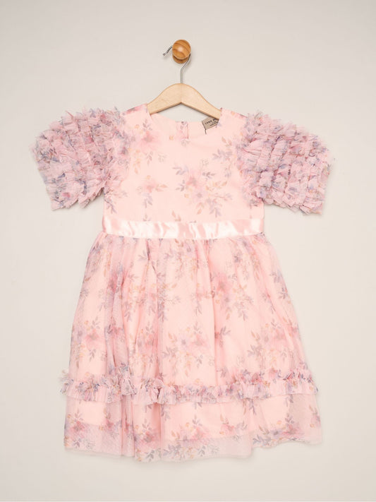 Dsiney Kidz - Miss Pink Floral Mesh Dress with Ruffle Sleeves image 1