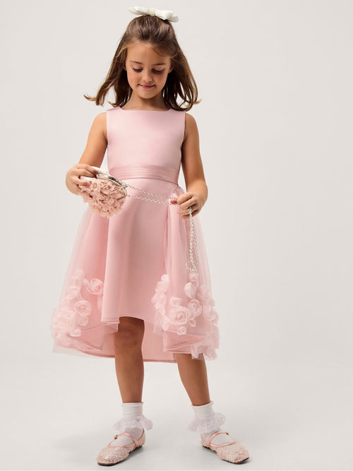 Dsiney Kidz - Monsoon Pink Eloise Appliqué Rose Dress image 1