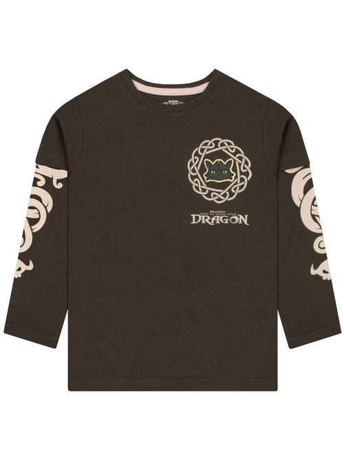 Character Brown How To Train Yor Dragon Long Sleeve T-Shirt image 1