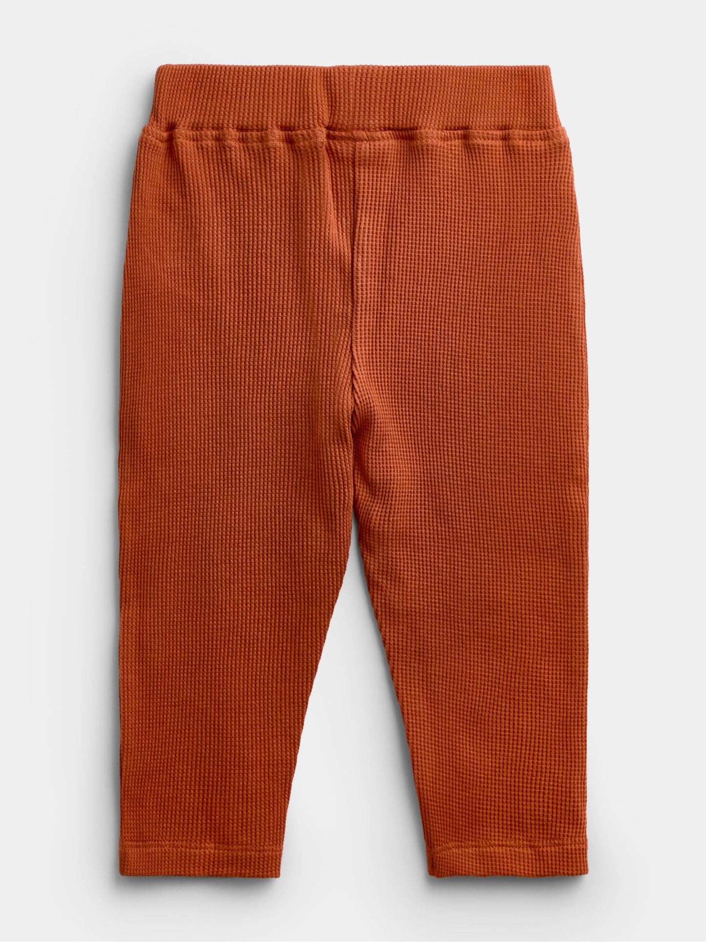 Dsiney Kidz - Jojo Maman Bébé Orange Highland Cow Sweatshirt & Trouser Set image 3