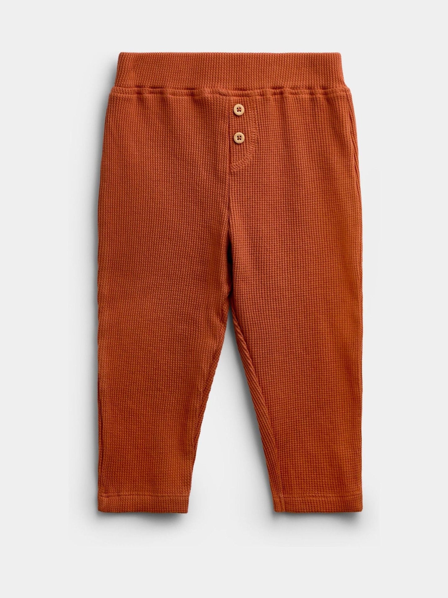 Dsiney Kidz - Jojo Maman Bébé Orange Highland Cow Sweatshirt & Trouser Set image 4