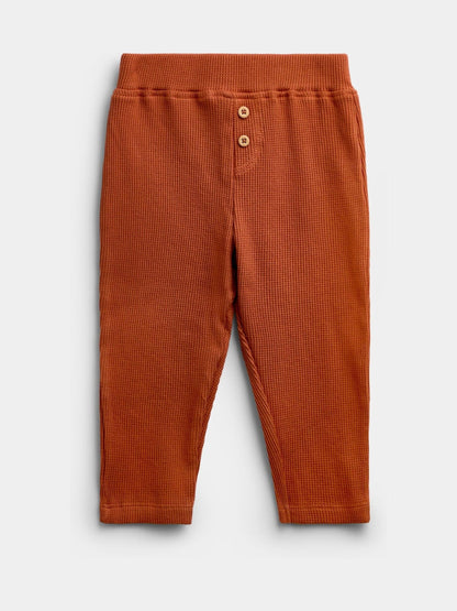 Dsiney Kidz - Jojo Maman Bébé Orange Highland Cow Sweatshirt & Trouser Set image 4