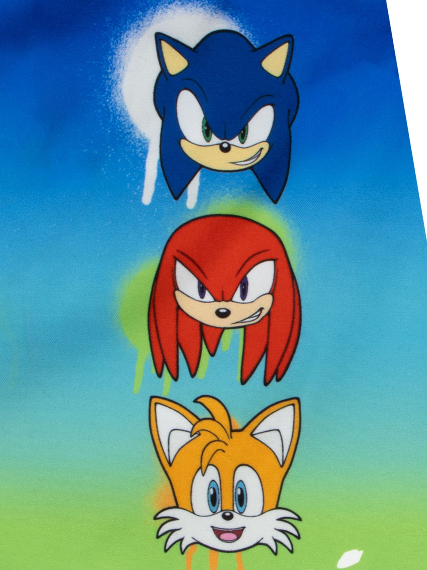 Character Blue Sonic The Hedgehog Swim Shorts image 3