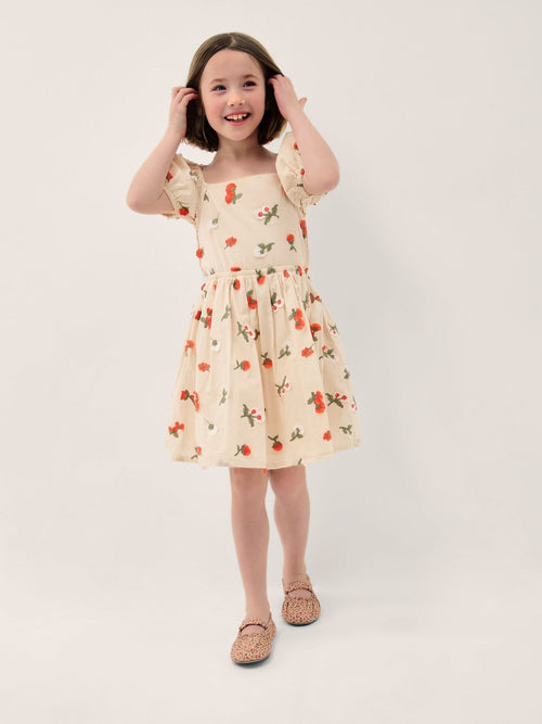 Monsoon Cream Puff Sleeve Floral Embroidered Dress image 1