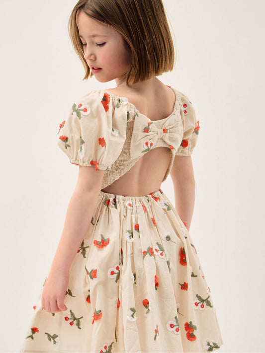 Monsoon Cream Puff Sleeve Floral Embroidered Dress image 2