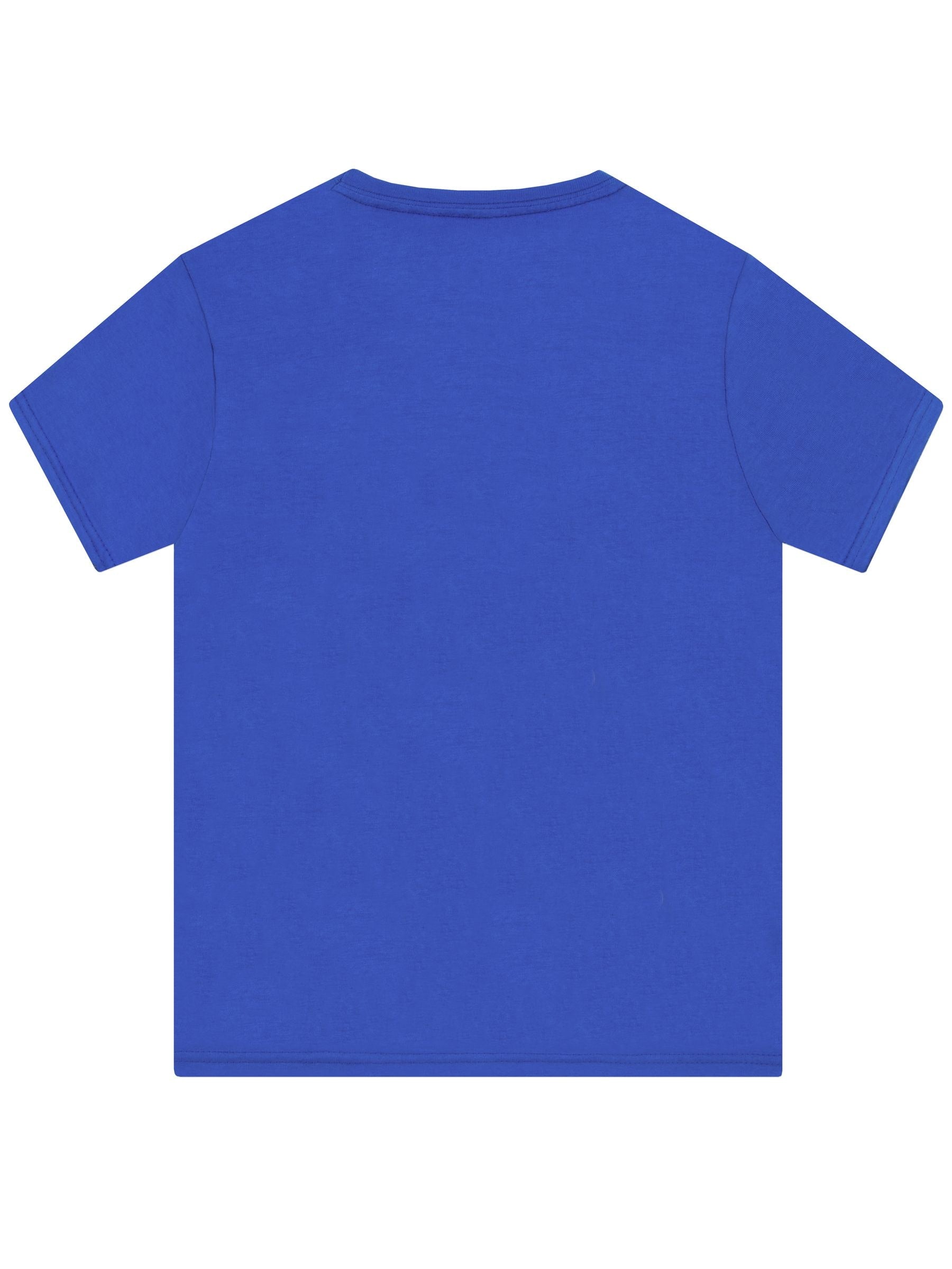 Character Blue PAW Patrol Team Spirit T-Shirt image 3