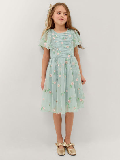 Monsoon Green Primrose Embroidered Party Dress image 1