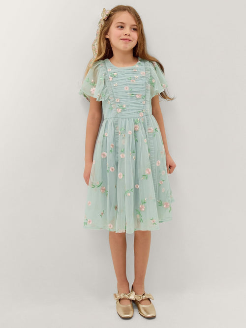 Dsiney Kidz - Monsoon Green Primrose Embroidered Party Dress image 1
