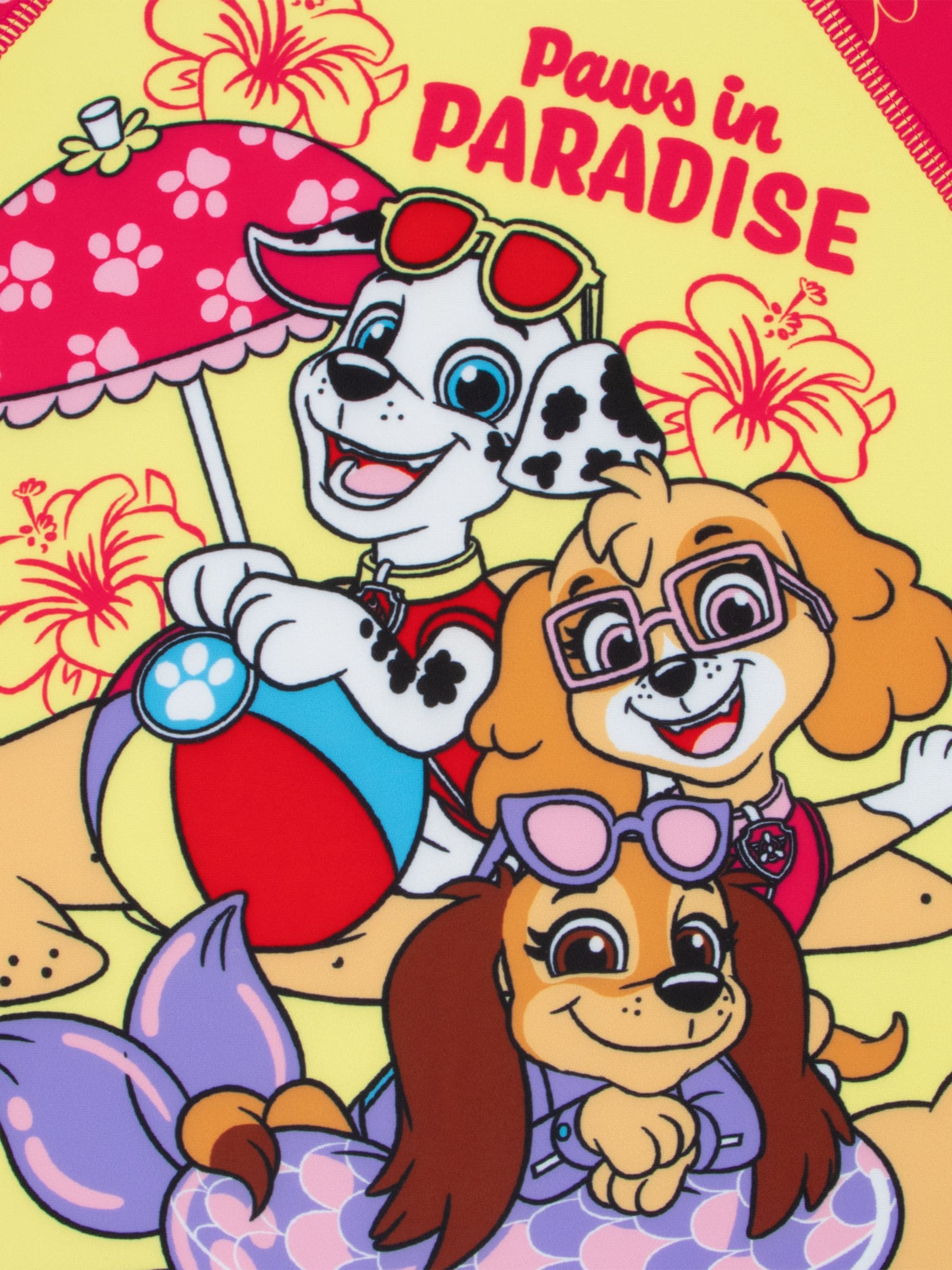 Character Pink PAW Patrol Skye Long Sleeve Swimsuit image 3