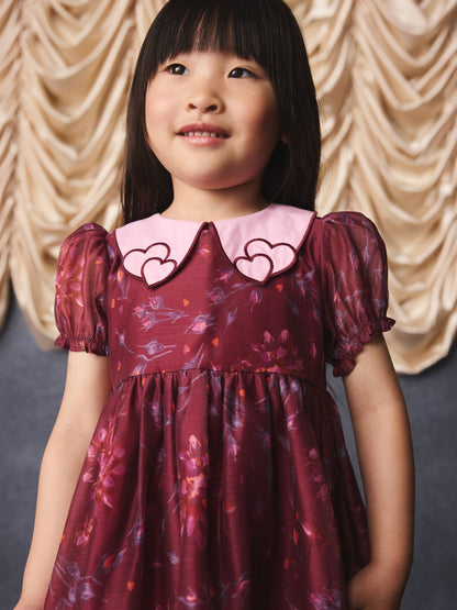 Dsiney Kidz - Burgundy Floral Embroidered Collar Puff Sleeve Occasion Dress (3mths-8yrs) image 6