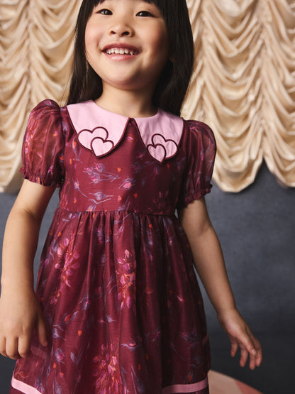 Dsiney Kidz - Burgundy Floral Embroidered Collar Puff Sleeve Occasion Dress (3mths-8yrs) image 9