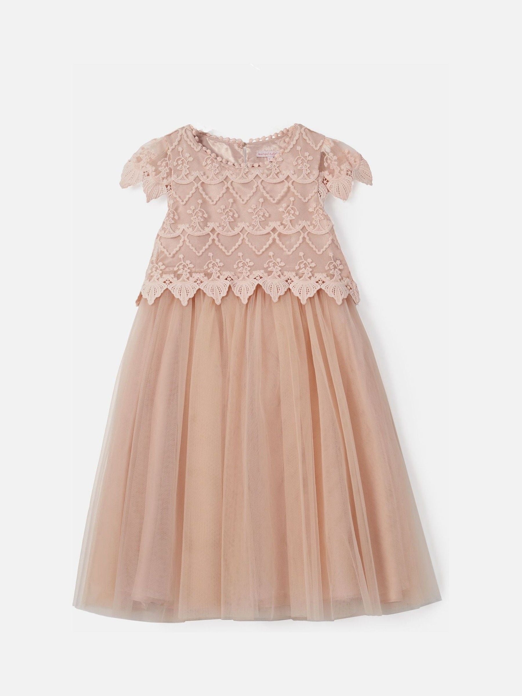 Angel & Rocket Pink Lace Bodice Dress image 2