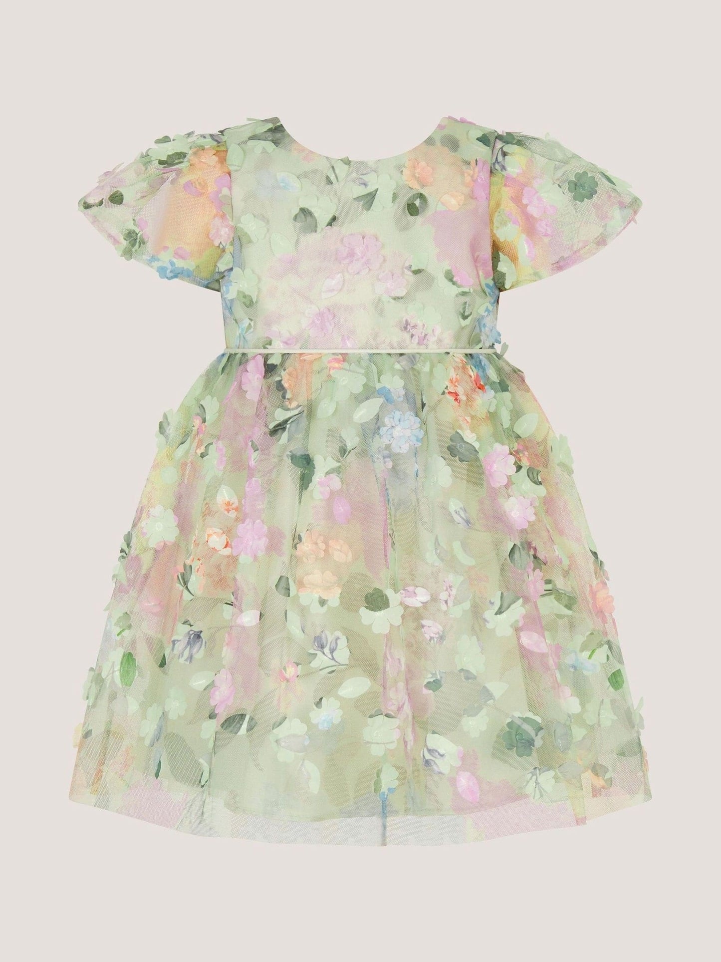 Monsoon Green Baby Eliza Floral Appliqué Party Dress image 1