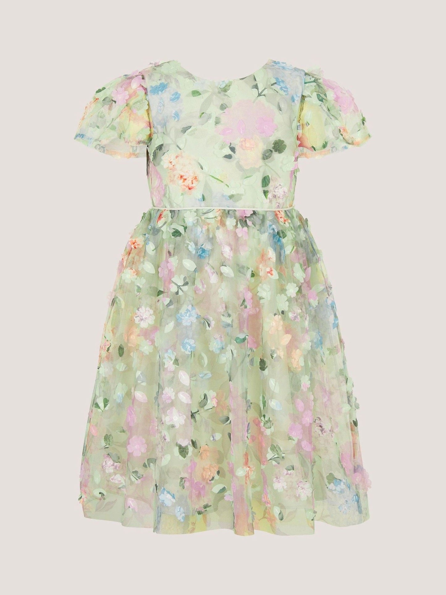 Monsoon Green Eliza Floral Appliqué Party Dress image 1