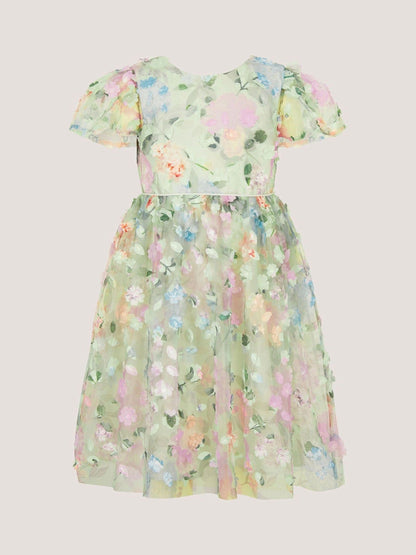 Monsoon Green Eliza Floral Appliqué Party Dress image 1