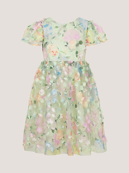 Monsoon Green Eliza Floral Appliqué Party Dress image 1