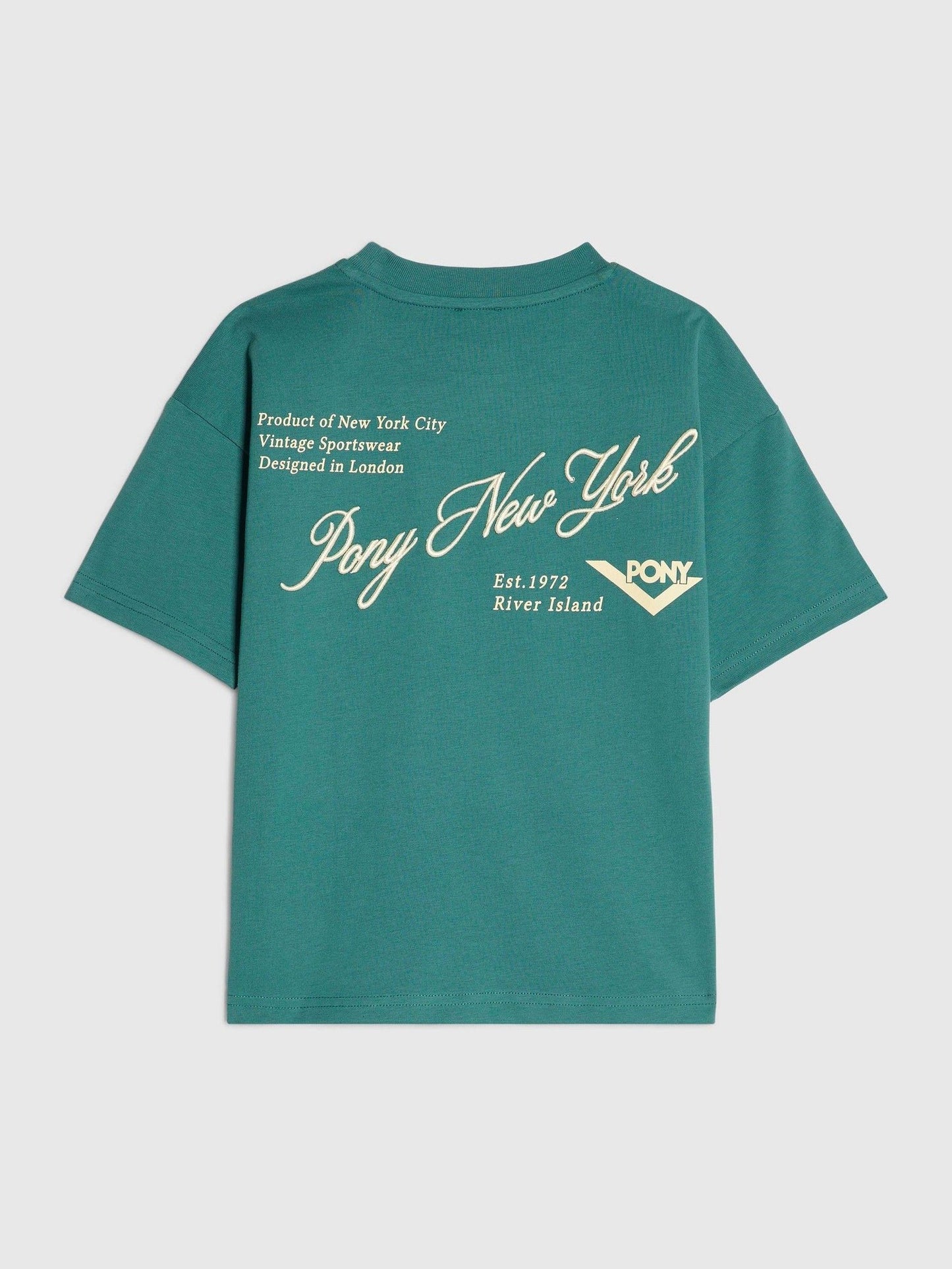 Dsiney Kidz - River Island Green Oversized Pony Scripty T-Shirt image 1